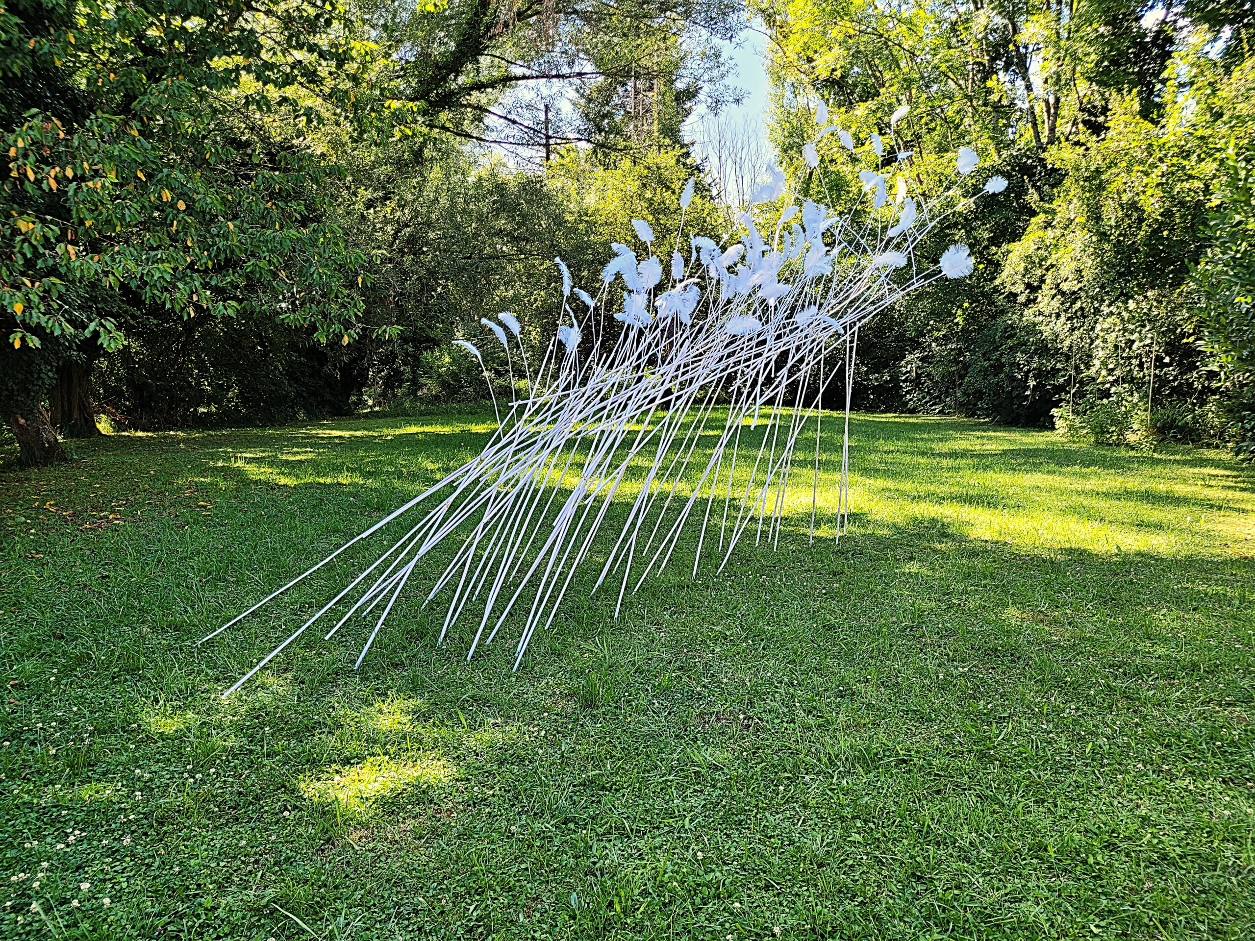 Goutte froide, douche froide